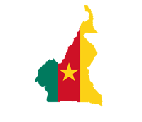 cameroon cigarette industry