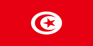 cigarette markets of tunisia